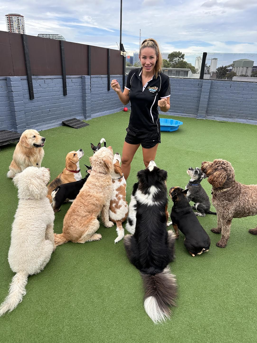 Dogs at Ooohh Yeah