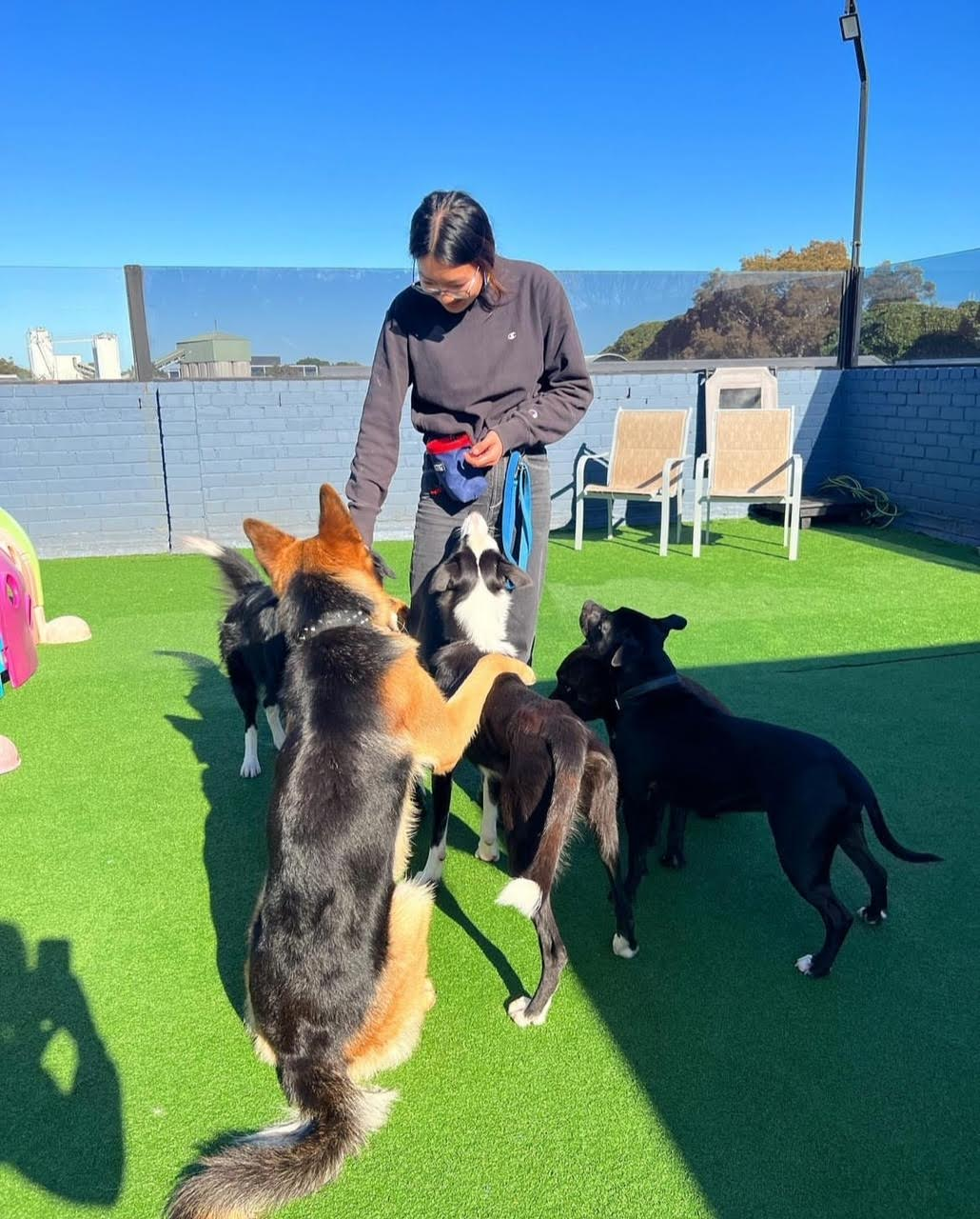 Dogs at Ooohh Yeah